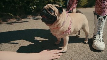 Movie still from “Welshy - All for You” (2021), directed by Arthur Studholme – Close Up shot, High angle