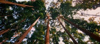 Movie still from “Timelab Pro - Indonesia FPV: Bali & Java” (2022) – Extreme Wide shot, Low angle