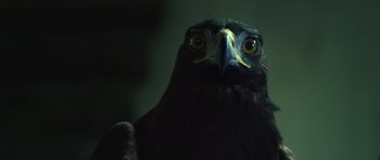 Movie still from “adidas Originals - Your Future is Not Mine” (2016) – Extreme Close Up shot, Low angle