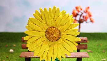 Movie still from “Trent Shy - Litterbug” (2019) – Extreme Close Up shot, Low angle