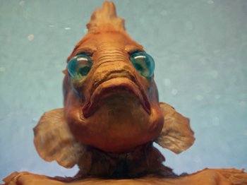 Movie still from “Blue Wilson - Underwater Dance” (2021), directed by Gabriel Jace Long – Extreme Close Up shot, Low angle
