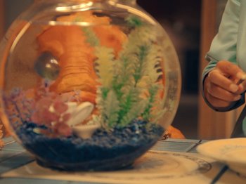 Movie still from “Blue Wilson - Underwater Dance” (2021), directed by Gabriel Jace Long – Extreme Close Up shot, High angle