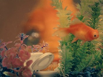 Movie still from “Blue Wilson - Underwater Dance” (2021), directed by Gabriel Jace Long – Extreme Close Up shot, High angle