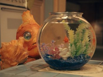 Movie still from “Blue Wilson - Underwater Dance” (2021), directed by Gabriel Jace Long – Extreme Close Up shot, High angle