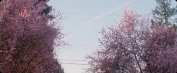 Movie still from “Amanda Sum - Hot Headed Egos” (2021), directed by Hannah Dubois – Extreme Wide shot, Low angle