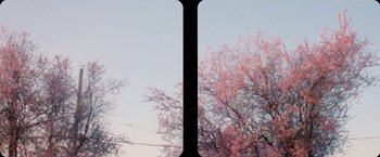 Movie still from “Amanda Sum - Hot Headed Egos” (2021), directed by Hannah Dubois – Extreme Wide shot, Overhead angle