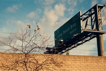 Movie still from “Huey Briss & Nikobeats - Grace Park Legend” (2021), directed by Michael Priestley – Extreme Wide shot, Low angle