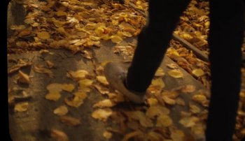 Movie still from “Rudy De Anda - Helado” (2020), directed by Adam Neustadter – Extreme Close Up shot, High angle