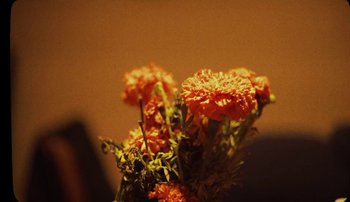 Movie still from “Rudy De Anda - Helado” (2020), directed by Adam Neustadter – Extreme Close Up shot, High angle