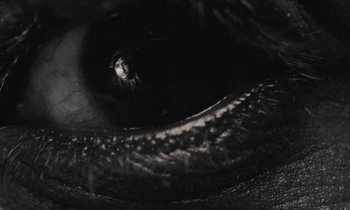 Movie still from “Nana - LA Times” (2020), directed by Andrew Litten – Extreme Close Up shot, Overhead angle