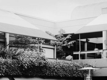 Movie still from “Bloodroot - Audrey” (2020), directed by Kyle Murdoch – Wide shot, Low angle