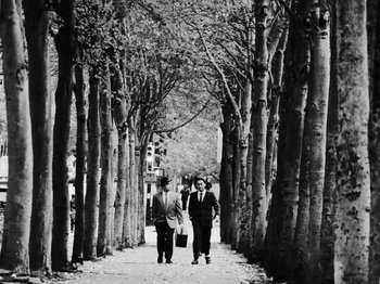 Movie still from “Bloodroot - Audrey” (2020), directed by Kyle Murdoch – Wide shot, Low angle