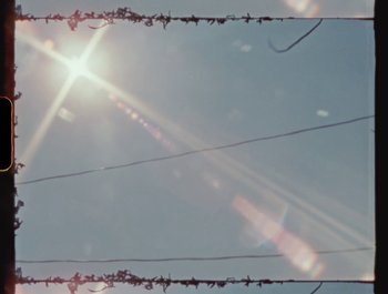 Movie still from “Flower Bomb - Come Together” (2020), directed by Benton Robertson – Extreme Close Up shot, Low angle