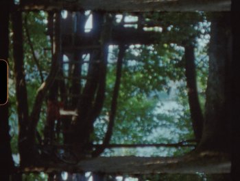 Movie still from “Flower Bomb - Come Together” (2020), directed by Benton Robertson – Extreme Wide shot, Overhead angle