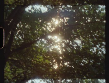 Movie still from “Flower Bomb - Come Together” (2020), directed by Benton Robertson – Extreme Close Up shot, High angle