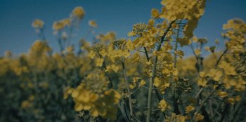 Movie still from “189 - Unfold” (2020), directed by Jonatan Egholm – Extreme Close Up shot, Low angle