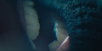Movie still from “189 - Unfold” (2020), directed by Jonatan Egholm – Extreme Close Up shot, Overhead angle