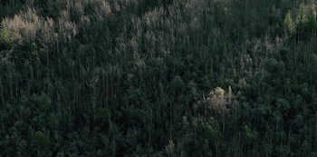 Movie still from “METZ - Blind Youth Industrial Park” (2020), directed by Dylan Pharazyn – Extreme Wide shot, Overhead angle