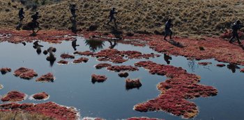 Movie still from “METZ - Blind Youth Industrial Park” (2020), directed by Dylan Pharazyn – Extreme Wide shot, High angle