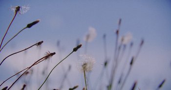 Movie still from “Amanda Sum - Groupthink” (2020), directed by Mayumi Yoshida – Extreme Close Up shot, Low angle