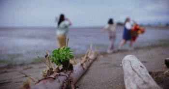 Movie still from “Amanda Sum - Groupthink” (2020), directed by Mayumi Yoshida – Extreme Wide shot, Low angle