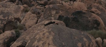 Movie still from “AMAARA - Desert Storm” (2020), directed by Kaelen Ohm – Extreme Wide shot, Overhead angle