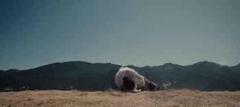 Movie still from “AMAARA - Desert Storm” (2020), directed by Kaelen Ohm – Extreme Wide shot, Low angle