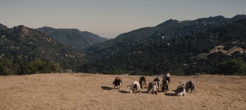 Movie still from “AMAARA - Desert Storm” (2020), directed by Kaelen Ohm – Extreme Wide shot, High angle