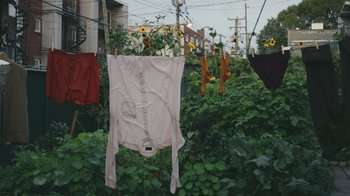 Movie still from “Alex Nicol - Trust” (2020), directed by Paz Ramirez – Medium shot, Low angle