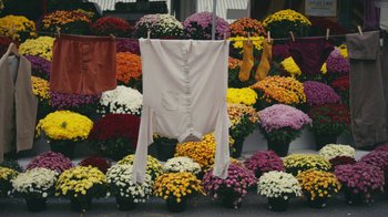 Movie still from “Alex Nicol - Trust” (2020), directed by Paz Ramirez – Wide shot, High angle