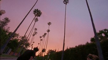 Movie still from “Tussilago - Flirtation Forever” (2020), directed by SWIM CLUB – Extreme Wide shot, Low angle