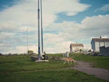 Movie still from “Willzee & delush - Dear Friend II” (2020), directed by Dave O’Carroll – Wide shot, Low angle