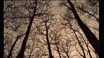 Movie still from “Tom Misch & Yussef Dayes - What Kinda Music” (2020), directed by Douglas Bernardt – Extreme Wide shot, Low angle