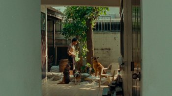 Movie still from “DMA’S - Life Is A Game Of Changing (Director’s Cut)” (2020), directed by W.A.M. Bleakley – Wide shot, High angle
