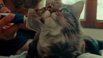 Movie still from “DMA’S - Life Is A Game Of Changing (Director’s Cut)” (2020), directed by W.A.M. Bleakley – Extreme Close Up shot, Low angle