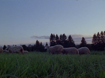 Movie still from “Black Fly - Wait” (2019), directed by Patrick Golan – Extreme Wide shot, Low angle