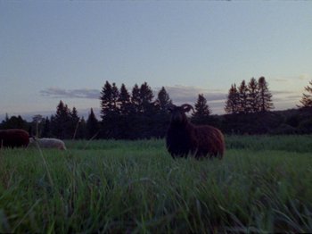 Movie still from “Black Fly - Wait” (2019), directed by Patrick Golan – Extreme Wide shot, Low angle