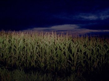 Movie still from “Black Fly - Wait” (2019), directed by Patrick Golan – Extreme Wide shot, High angle