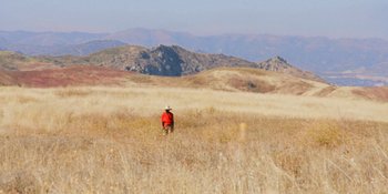 Movie still from “Meernaa - Ready to Break” (2019), directed by Cooper Kenward – Extreme Wide shot, High angle