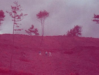 Movie still from “Kite Park - Bongo” (2019), directed by Danny Griffioen – Extreme Wide shot, High angle