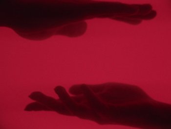 Movie still from “Kite Park - Bongo” (2019), directed by Danny Griffioen – Extreme Close Up shot, Overhead angle