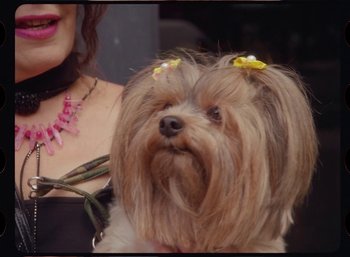 Movie still from “Ali Gatie - It’s You” (2019), directed by Nathan R. Smith – Close Up shot, High angle