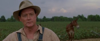 Movie still from “Walk the Line” (2005), directed by James Mangold – A man standing next to a horse in a field; Close Up shot, Over the shoulder angle