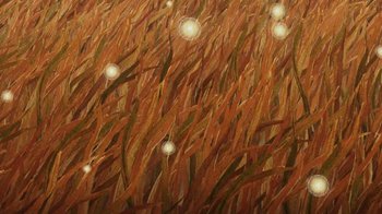 Movie still from “Kishi Bashi - Violin Tsunami” (2019), directed by Mike McCoy – Extreme Wide shot, Overhead angle