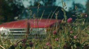 Movie still from “Purple Pilgrims - Two Worlds Apart” (2019), directed by W.A.M Bleakley – Extreme Close Up shot, Low angle
