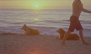 Movie still from “Loving - Nihilist Kite Flyer” (2019), directed by Ft. Langley – Wide shot, Low angle