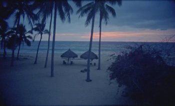 Movie still from “Loving - Nihilist Kite Flyer” (2019), directed by Ft. Langley – Extreme Wide shot, High angle