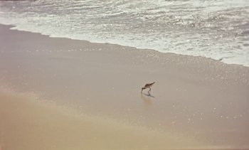 Movie still from “Loving - Nihilist Kite Flyer” (2019), directed by Ft. Langley – Extreme Wide shot, High angle