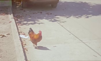 Movie still from “Loving - Nihilist Kite Flyer” (2019), directed by Ft. Langley – Wide shot, High angle