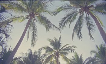 Movie still from “Loving - Nihilist Kite Flyer” (2019), directed by Ft. Langley – Extreme Wide shot, Low angle